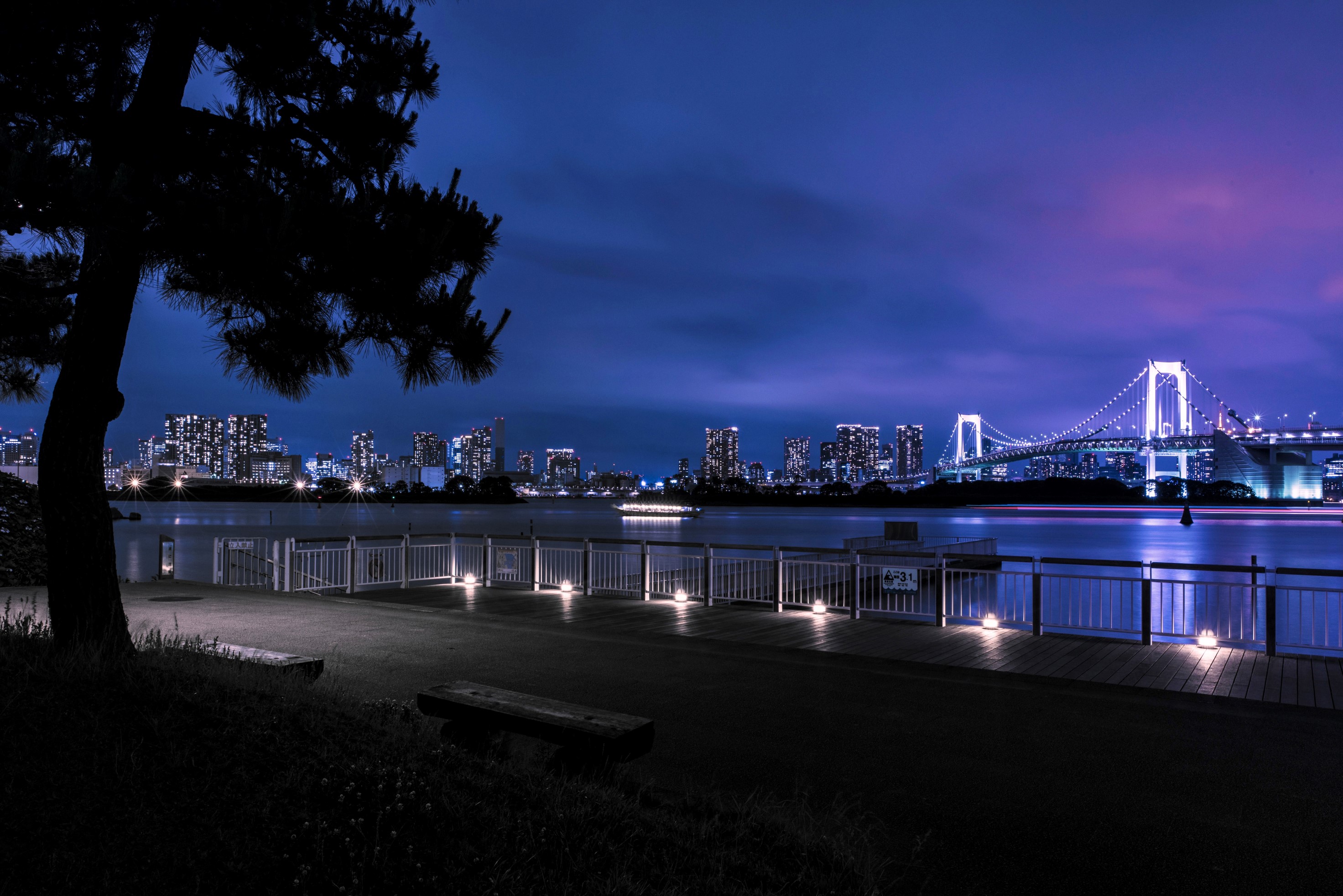 お台場海浜公園 ベンチから(夜景) | 有明な生活。 ariake.tokyo